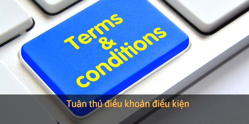 Tuân thủ điều khoản điều kiện
