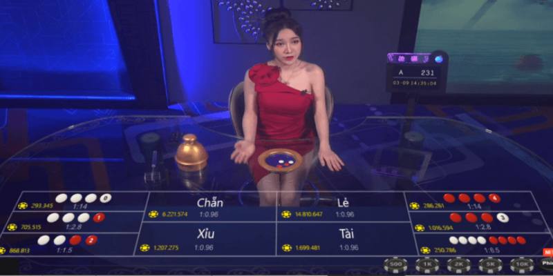 Dụng cụ trên bàn cược tài xỉu trực tuyến