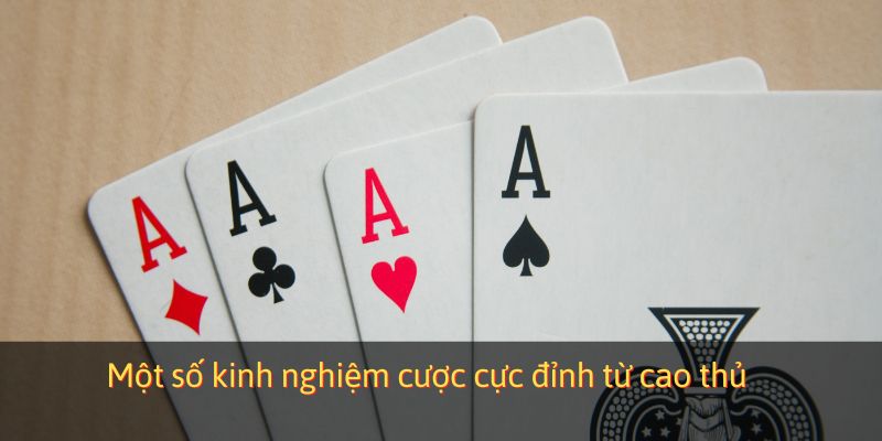 Một số kinh nghiệm cược cực đỉnh từ cao thủ